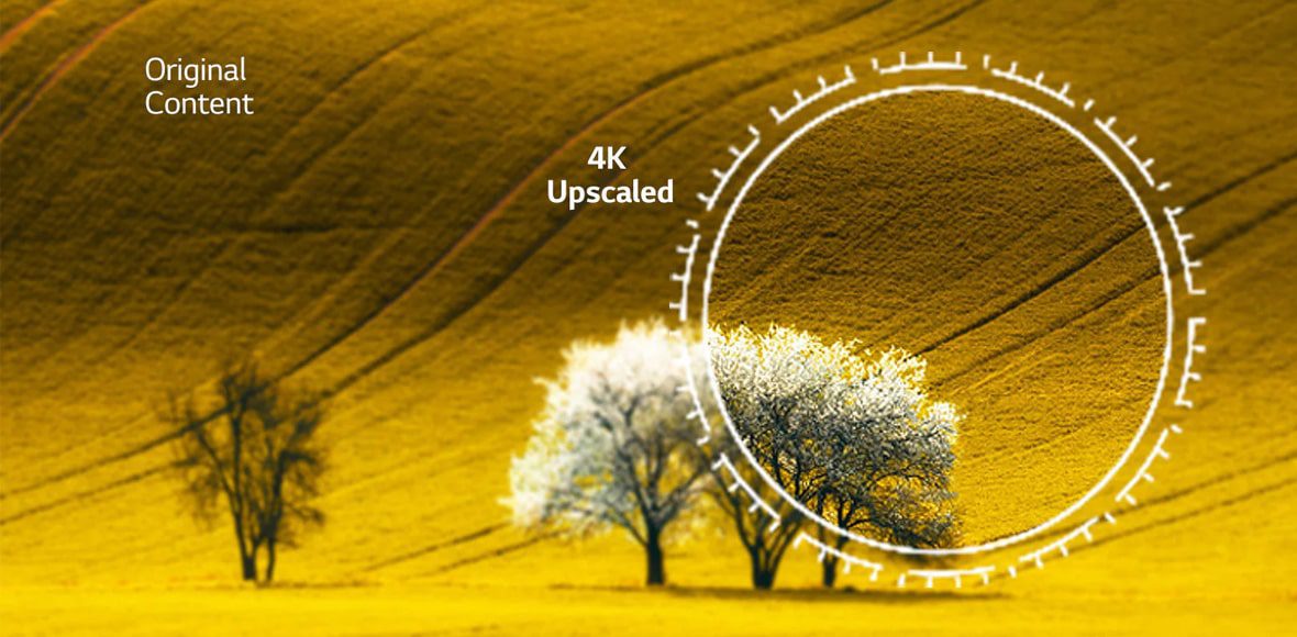 پردازشگر α5 Gen 5 AI Processor